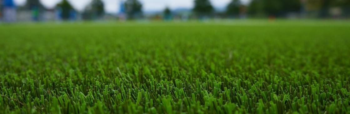 Artificial Grass Brisbane Cover Image