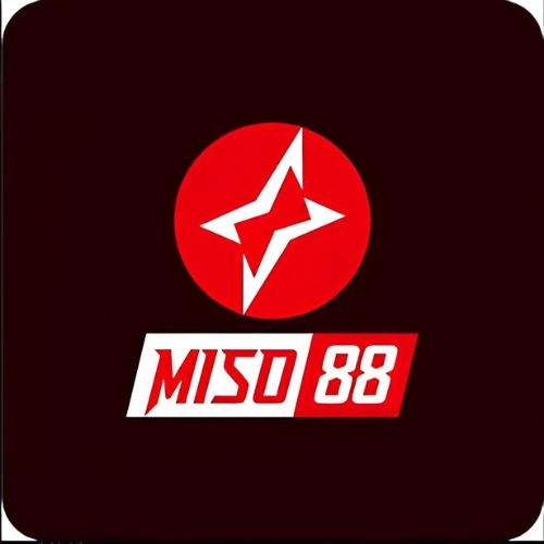 miso88ltd Profile Picture