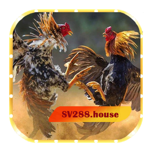 sv288house Profile Picture