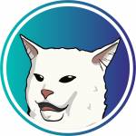 Kitty Coin Profile Picture