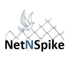 NetNspike NetNspike Profile Picture