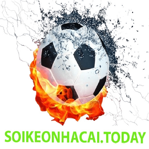 soikeonhacaitoday Profile Picture