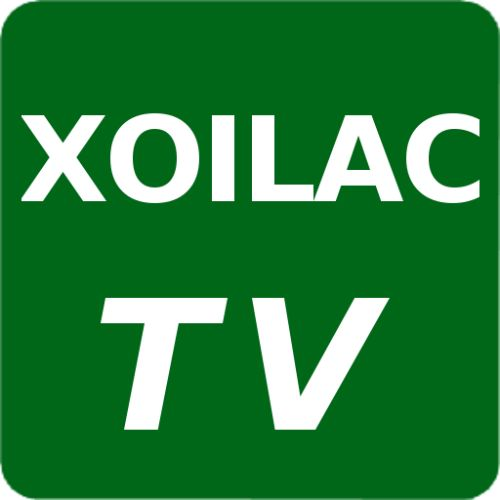 xoilaconl Profile Picture