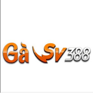 gasv388win Profile Picture