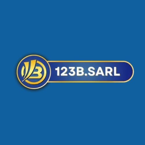 123bsarl Profile Picture