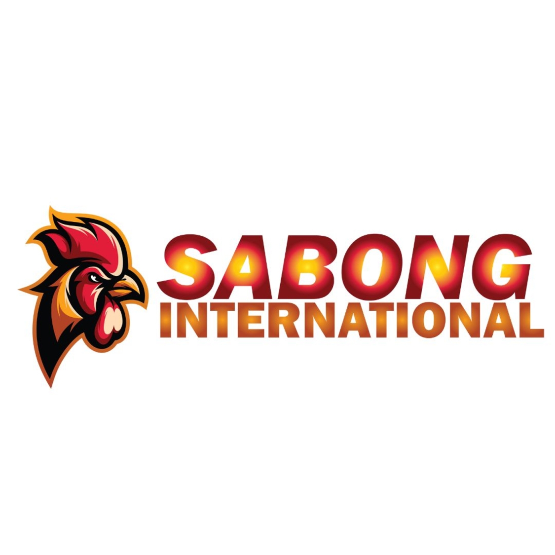 sabonginternationalai Profile Picture